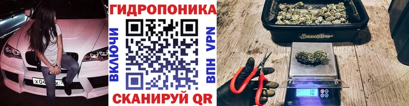 Канабис индика  Калининск 